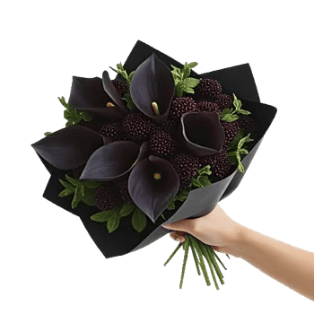 Elegant Calla Lilies
