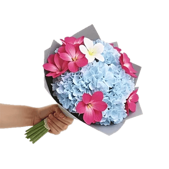 Serene Petal Harmony