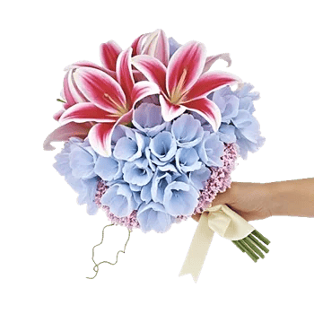 Blossom Petal Serenity