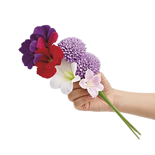 Ivory Blossom Radiance