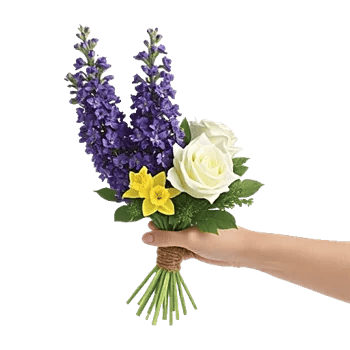 Rosemary Bloom Elegance