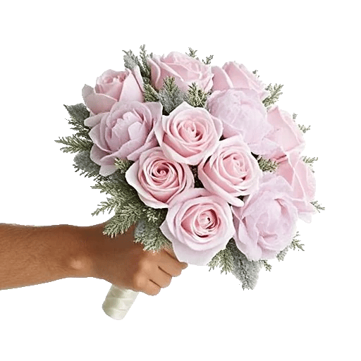 Pastel Pink Roses