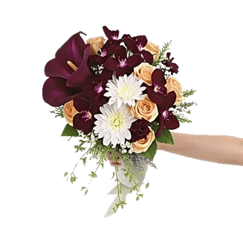 Orchid Bloom Cascade