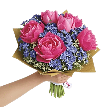 Peony Petal Harmony