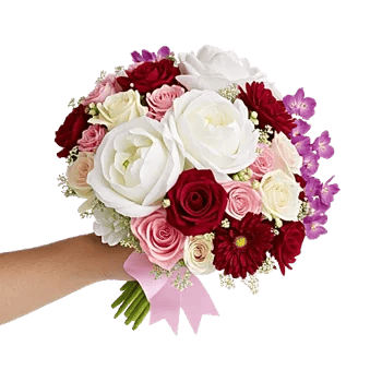 Petal Grace Harmony