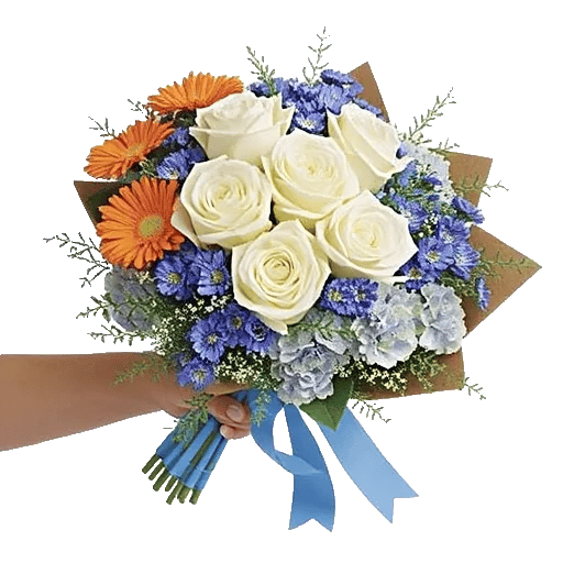 Serene Petal Harmony