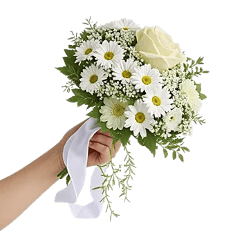 Delicate Petal Cascade