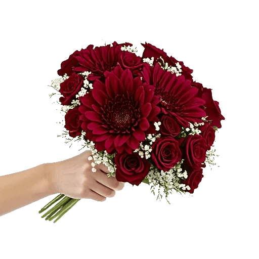 Crimson Blossom Harmony