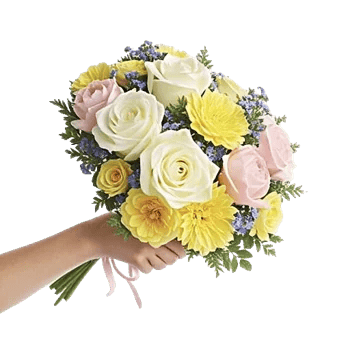 Petal Grace Harmony