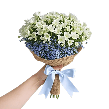 Blossom Petal Serenity