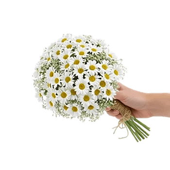 Daisy Meadow Spread