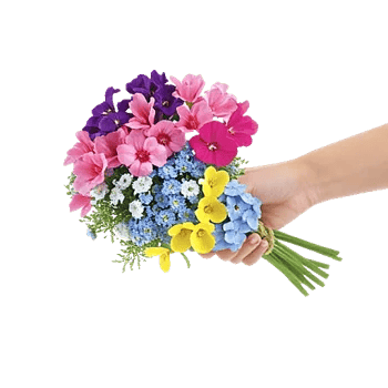 Blossom Petal Serenity