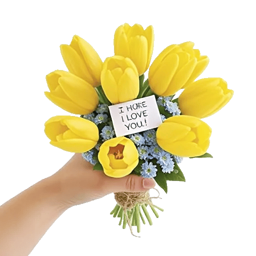 Tulip Rose Mix