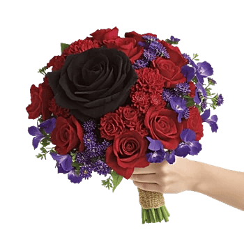 Crimson Rose Elegance