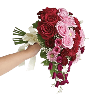 Delicate Petal Cascade