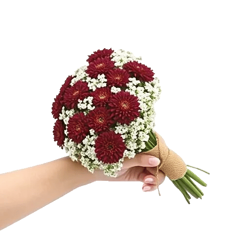 Elegant Calla Lilies