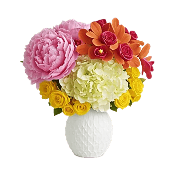 Petal Radiance Bliss