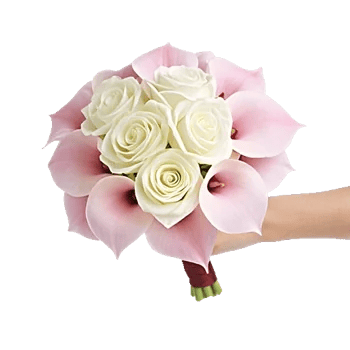 Elegant Calla Lilies