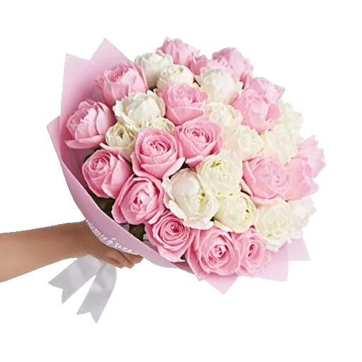 Peony Petal Harmony