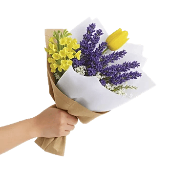 Blossom Harmony Display