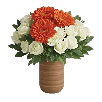 Petal Radiance Bliss