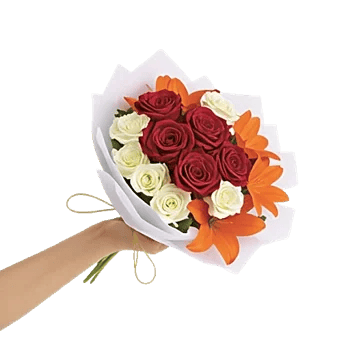 Crimson Rose Elegance