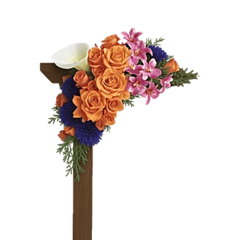 Elegant Calla Lilies