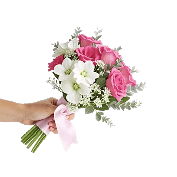 Petal Grace Harmony