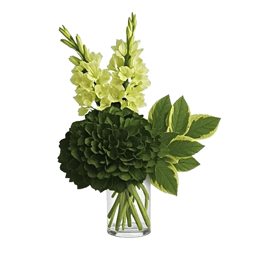 Ivory Blossom Radiance