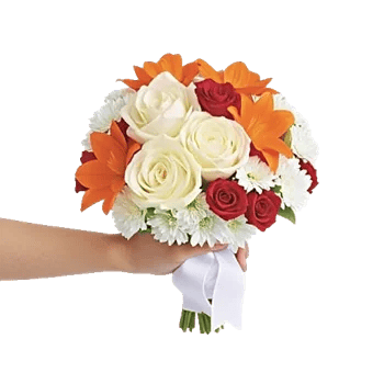 Blushing Rose Symphony