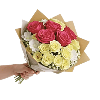 Blushing Rose Symphony