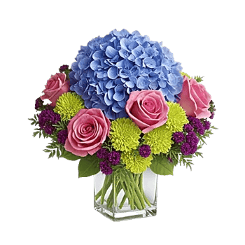 Serene Garden Harmony