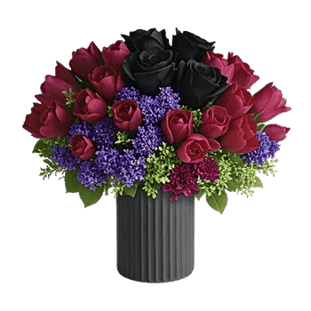 Velvet Tulip Display