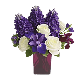 Ivory Blossom Radiance