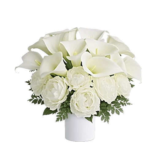 Elegant Calla Lilies