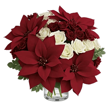 Petal Radiance Bliss