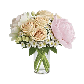 Ivory Blossom Radiance