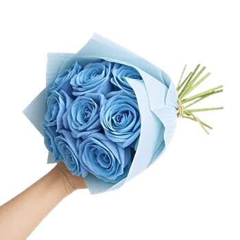 Elegant Blue Roses