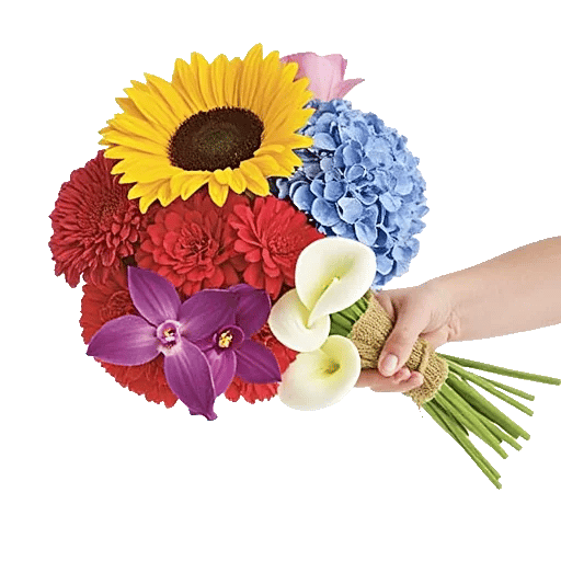 Radiant Bloom Cascade