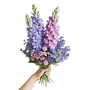 Blossom Petal Serenity