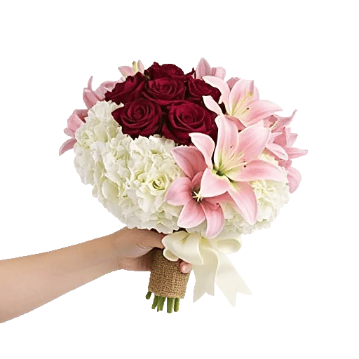 Blushing Rose Symphony