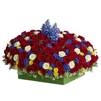 Delicate Petal Cascade