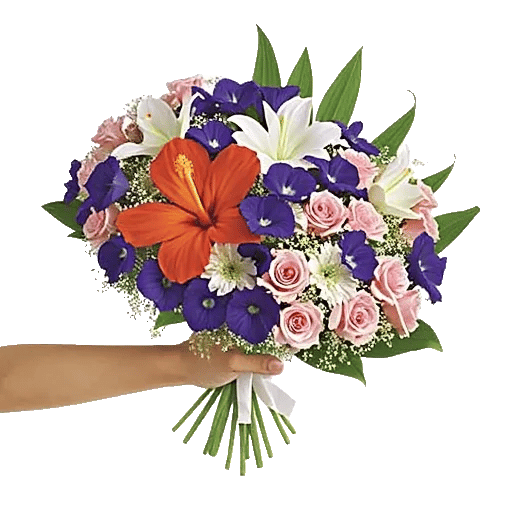 Petal Radiance Bliss