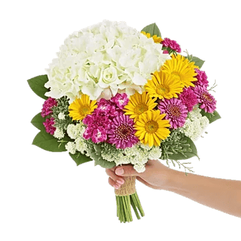 Serene Petal Harmony