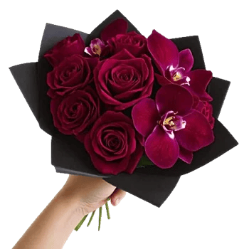 Crimson Rose Elegance