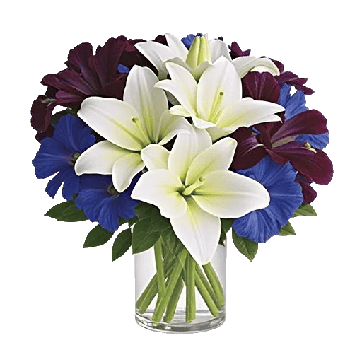 Ivory Blossom Radiance