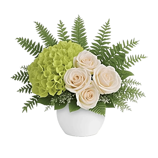 Minimalist White Orchids