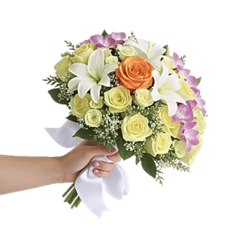 Blushing Rose Symphony