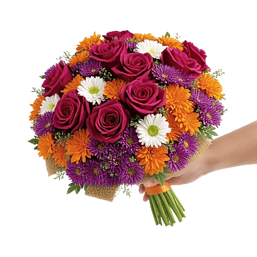 Blushing Rose Symphony