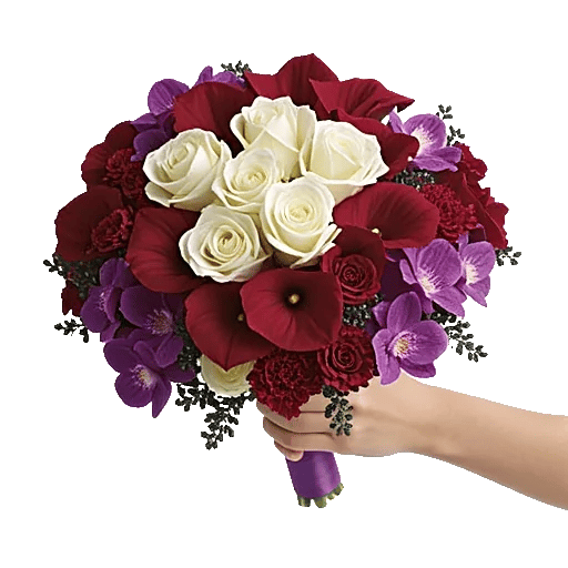 Elegant Calla Lilies